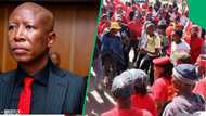 EFF celebrates as Julius Malema secures leave to appeal prison sentence