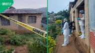 KZN police fatally wound five wanted suspects in Inanda shootout, South Africans praise bravery