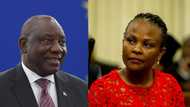 President Ramaphosa wants NPA to probe Mkhwebane, accuses her of perjury