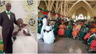 Halala: Stunning bride in wheelchair ties knot in fairy tale wedding