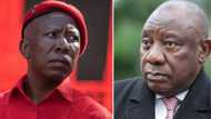 EFF says Ramaphosa is not fit to speak at SONA and promises to interrupt, SA reacts: "Stop these hooligans"