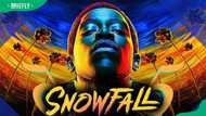 Top 20 list of shows like Snowfall you can binge watch