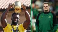 Siya Kolisi’s days as Bok captain numbered as Rassie Erasmus eyes locally-based skipper