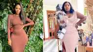 'The Real Housewives Of Durban': Londie London called out for exposing LaConco's love life: "She's a snake"