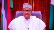 Who is Muhammadu Buhari, the President of Nigeria?