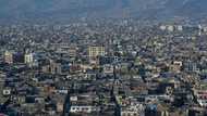 The killing of Al-Qaeda's Zawahiri: how it happened