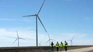 Texas: Wind and solar stake claim to land of oil