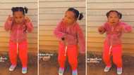 Little girl pulls off the scary 'Kilimanjaro' dance challenge, video divides Mzansi