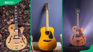 16 most expensive guitars in the world and their price tags