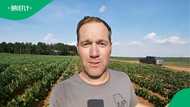 "Try US citizens": US farmer struggles to recruit H-2A visa workers despite R25,000 weekly salary