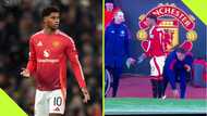 Rashford slammed after video of him throwing down gloves goes viral