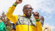 David Makhura: ANC needs to take low voter turnout as motivation to improve, real action is necessary