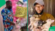 "Congratulations, Sandra": Gent has baby shower for pet dog