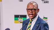 Ace Magashule claims judges are biased in attempt to overturn suspension