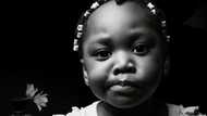 We adopted a 4-year-old girl – A month later, she came to me and said, 'Mommy, don't trust daddy