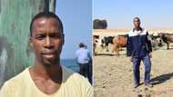 Soldier by profession, farmer by passion: Breeds Nguni to honour Zulu tradition