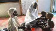 Insecurity, inflation deepen malnutrition in Nigeria's northwest