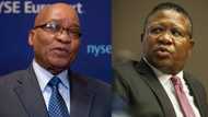 Roasted: Mbalula brings back old Zuma State Capture 'promo' vid