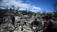 As climate catastrophes rise, reinsurers reduce risks