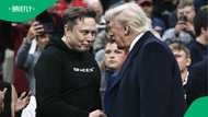Elon Musk leaves scheduled position in US Government Efficiency Department