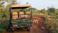 Mbombela shutdown: Roads leading to and from Kruger National Park closed, visitors stuck