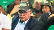 Fikile Mbalula praises SA delegation for representing country so well in USA, Mzansi doesn't agree
