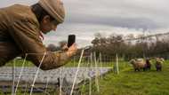 The Facebook users redefining the 20-year-old social network