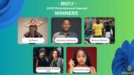 The Winners of the 2025 Briefly News Entertainment Awards