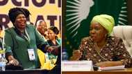 Nkosazana Dlamini-Zuma captures the hearts of Mzansi for defying ANC orders, ANC starts disciplinary process