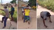 Snake prank video shows man freaking out thinking snake was on him, Mzansi busts: “He tripped on air”