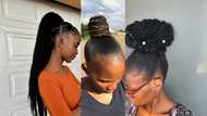 Discover the 20 hottest Pondo hairstyles in South Africa: stay on trend with these hairdos