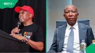 Economic Freedom Fighters president Julius Malema sentenced to 5 years plus fine