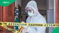 3 Including Limpopo taxi association members killed in midnight gunfight