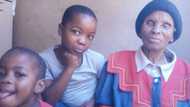Halala: Mzansi social media users celebrate gogo's 116th birthday