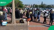 Durban Magistrate Court building cases halted after bomb scare