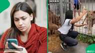 "Cruelty to animals": Woman pulled by large bear while trying to capture content, SA unimpressed