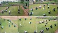School claims spaced desks on field minimise risk of cheating