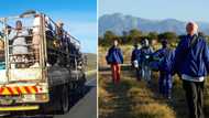 Picture of farmworkers packed into the back of a truck like cattle sparks debate on social media, divides SA