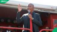 Julius Malema sets conditions for EFF joining GNU, says DA and FF Plus must leave first