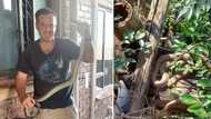 Mzansi freaking out: Nick Evans catches Mozambique spitting cobra in the same home he found 6 black mambas