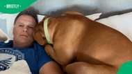 Local artist celebrates Rassie Erasmus’ bond with beloved dog Kwedini through heartfelt present