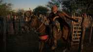 In Lula's home state, Brazilian rodeo riders lean left
