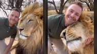 Man cuddling lion in TikTok video gets 3.5M views, his bond with wild cat eaves animal lovers envious