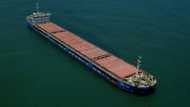 Disputed grain ship returns to Russia from Turkey
