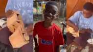 Prince Antwi: Student, 12, builds battery operated car from wood, video highlights ingenuity of Africa