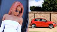 Lady details how plucky Polo driver bae tried to outrace a BMW: "A whole M3"