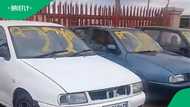 Man shows cars for sale from R10k in TikTok video, South Africa in disbelief
