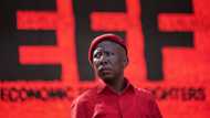 Malema wants the DA To retract incitement allegations or he is suing for R1 million