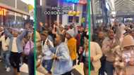 South Africans march with pride as Springboks triumph in Rugby World Cup: TikTok video shows support