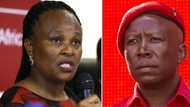 Julius Malema says the EFF supports suspended Public Protector Busisiwe Mkhwebane